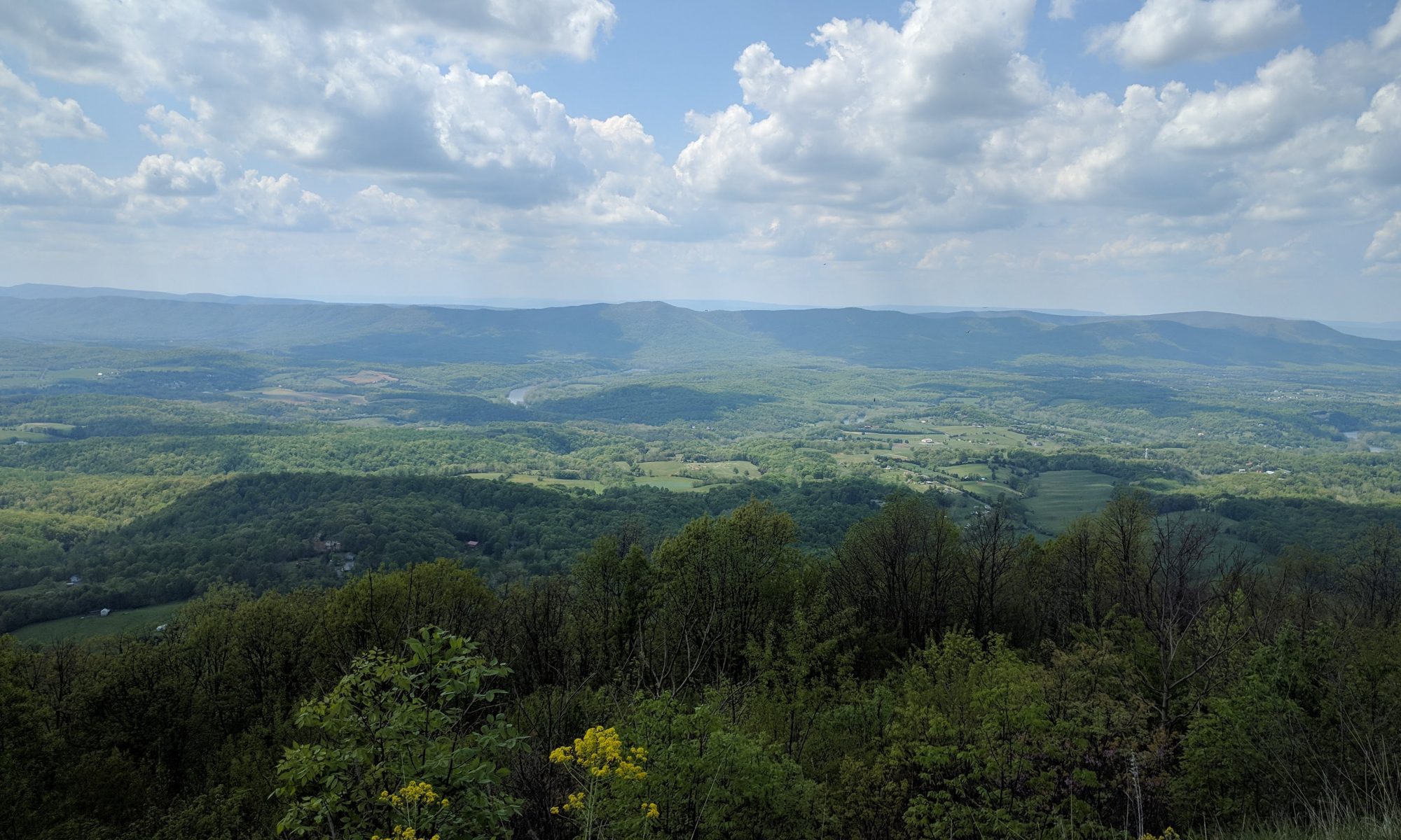 Chad Bright Portfolio